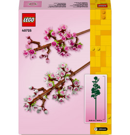 40725 Kirschblüten