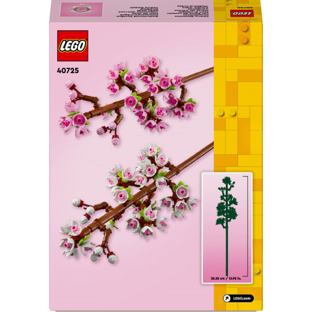 40725 Kirschblüten
