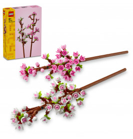 40725 Kirschblüten
