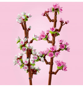 40725 Kirschblüten
