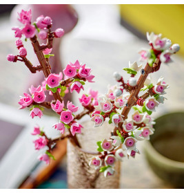 40725 Kirschblüten
