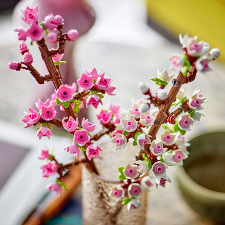 40725 Kirschblüten