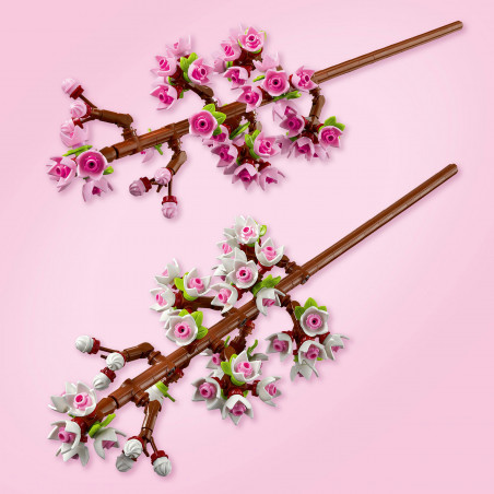 40725 Kirschblüten