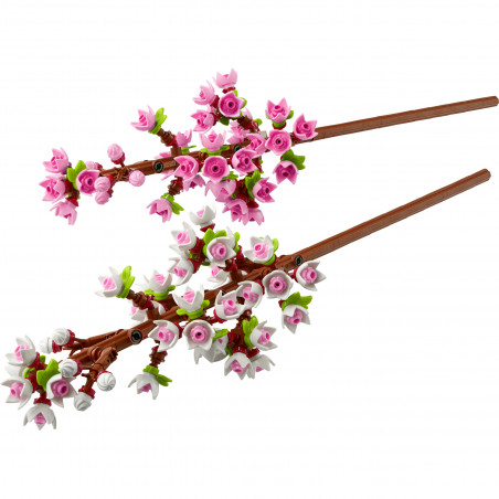 40725 Kirschblüten