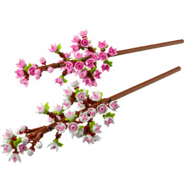 40725 Kirschblüten