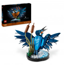 10331 Eisvogel