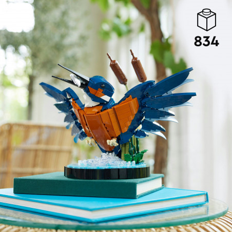 10331 Eisvogel