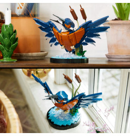 10331 Eisvogel