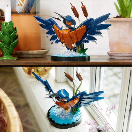 10331 Eisvogel