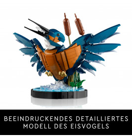 10331 Eisvogel