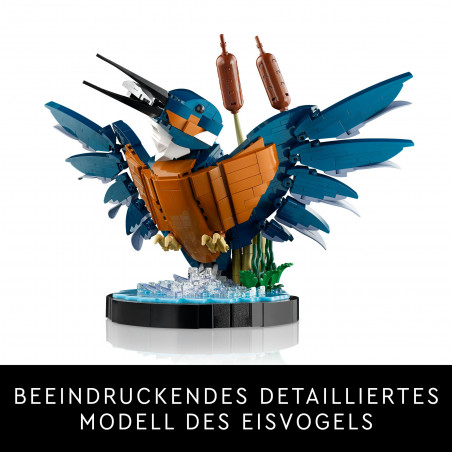 10331 Eisvogel