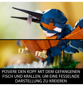 10331 Eisvogel