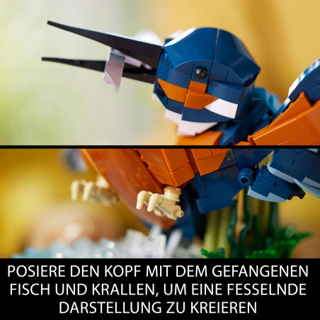 10331 Eisvogel