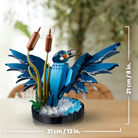 10331 Eisvogel