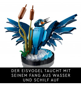 10331 Eisvogel