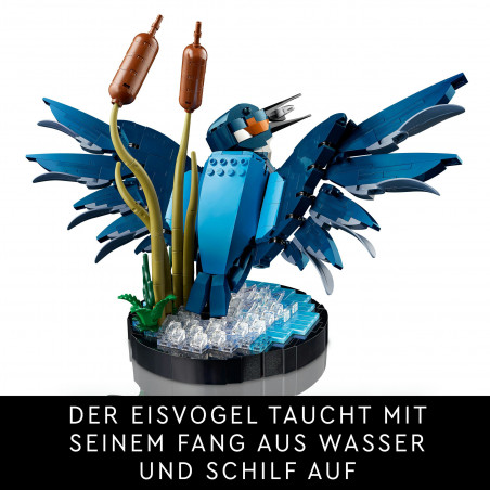 10331 Eisvogel