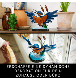 10331 Eisvogel