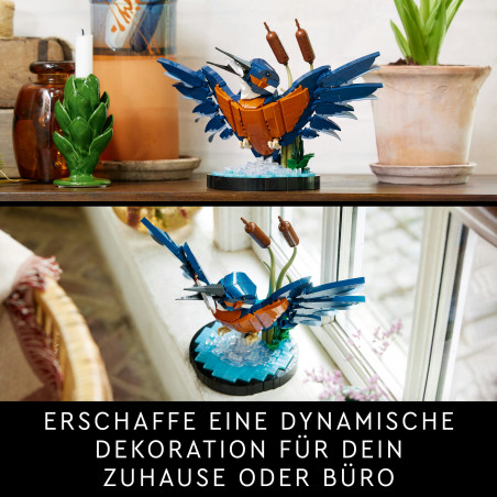10331 Eisvogel