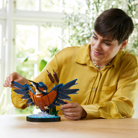 10331 Eisvogel