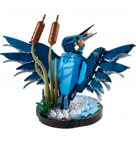 10331 Eisvogel