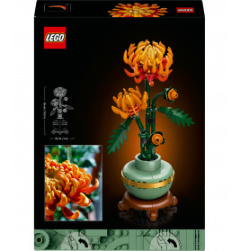 10368 Chrysantheme
