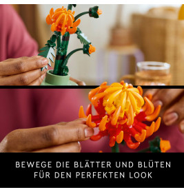 10368 Chrysantheme