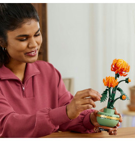 10368 Chrysantheme