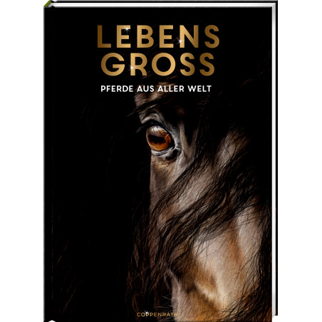 Lebensgross - Pferde aus  aller Welt