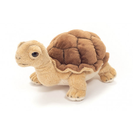 Teddy Hermann Schildkröte, ca. 20cm