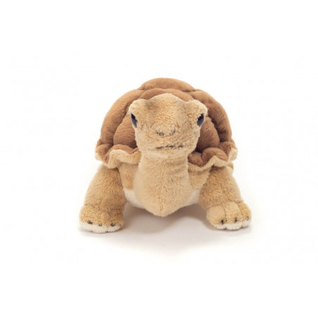 Teddy Hermann Schildkröte, ca. 20cm