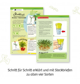 Microgreen-Garten