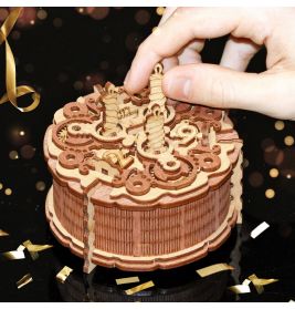 Birthday Cake Gift Puzzle