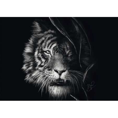 Schwarz-weißes Tiger-Gesicht, teilweise von Blättern verdeckt, vor dunklem Hintergrund.