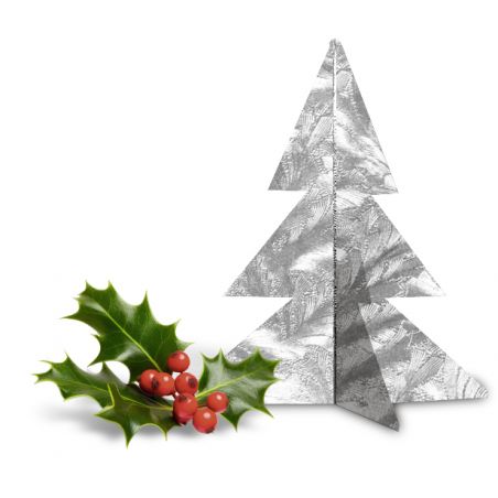 DESIGNPAPIER 120G. DIN A4,10BL. SILBER