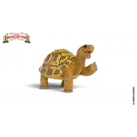 Henrietta die Schildkröte