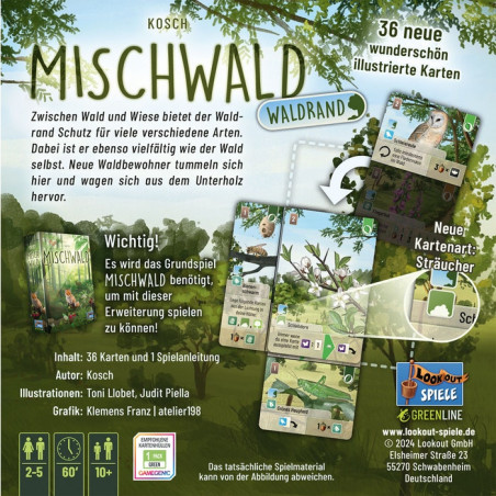 Mischwald-Waldrand