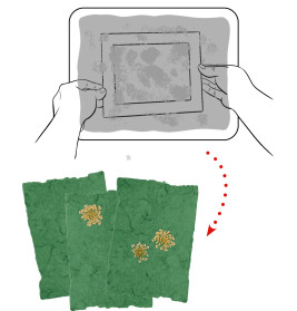 Papierschöpfen - Nature Zoom