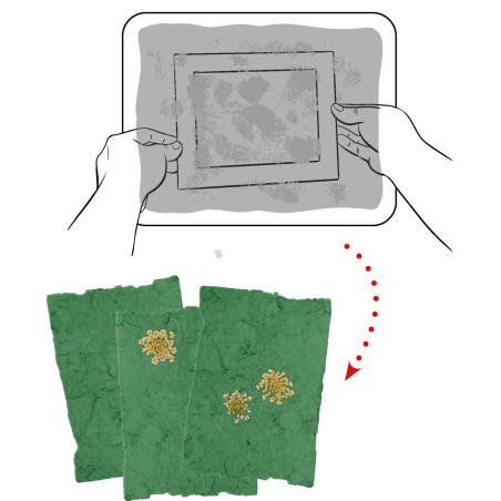 Papierschöpfen - Nature Zoom