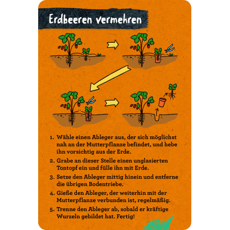 50 Garten-Projekte - Nature Zoom (Blechdose)