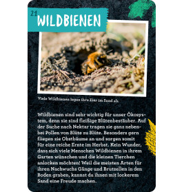 50 Garten-Projekte - Nature Zoom (Blechdose)