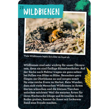 50 Garten-Projekte - Nature Zoom (Blechdose)
