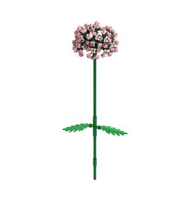 Brixies Plus Allium rosa