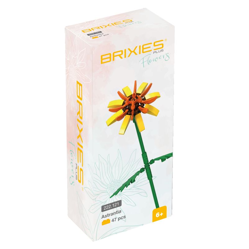 Brixies Plus Astrantia gelb Brixies Plus Astrantia gelb