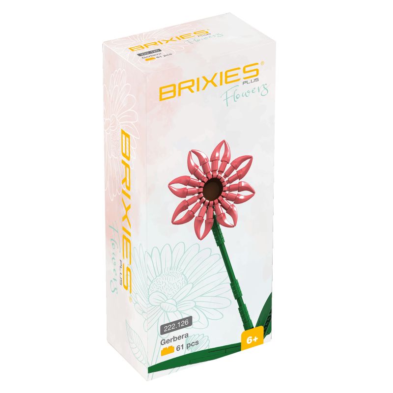 Brixies Plus Gerbera Lachs Brixies Plus Gerbera Lachs