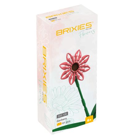 Brixies Plus Gerbera Lachs Brixies Plus Gerbera Lachs