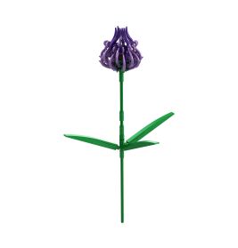 Brixies Plus Levkoje lila