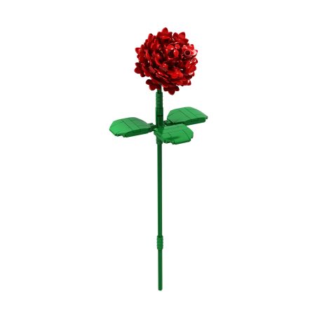 Brixies Plus Rose rot