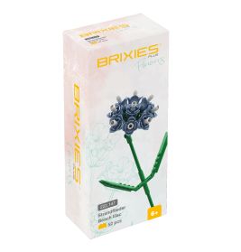 Brixies Plus Strandflieder bla u