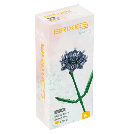 Brixies Plus Strandflieder bla u Brixies Plus Strandflieder bla u