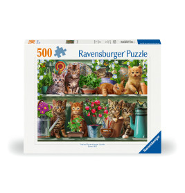 Puzzle Katzen im Regal 500 Teile